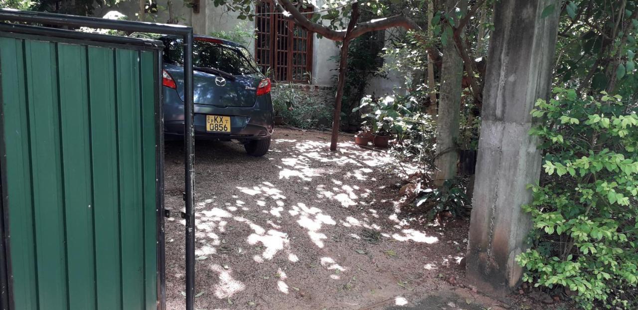 Kon Tree Shade Daire Dambulla Dış mekan fotoğraf