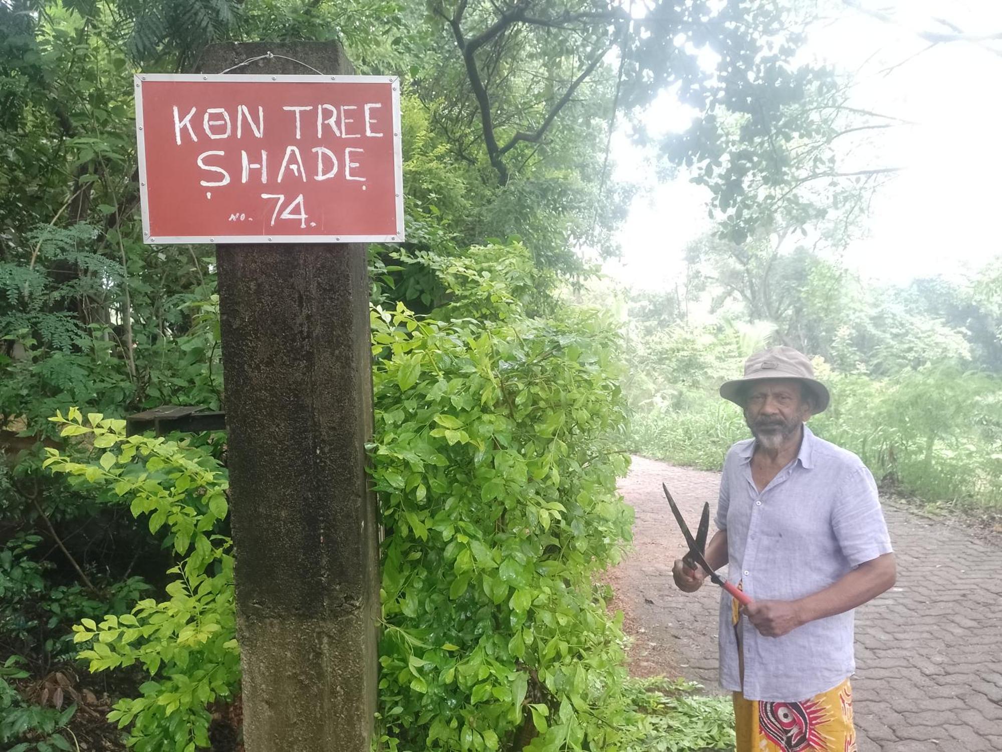 Kon Tree Shade Daire Dambulla Dış mekan fotoğraf